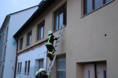IMG_7467-scaled