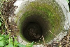 Rettung-Reh-10.07.2020-e1639336197363